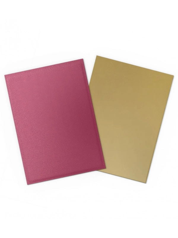 fundas-standard-25th-special-edition-pomegranategold-100-unidades-dragon-shield (1).webp