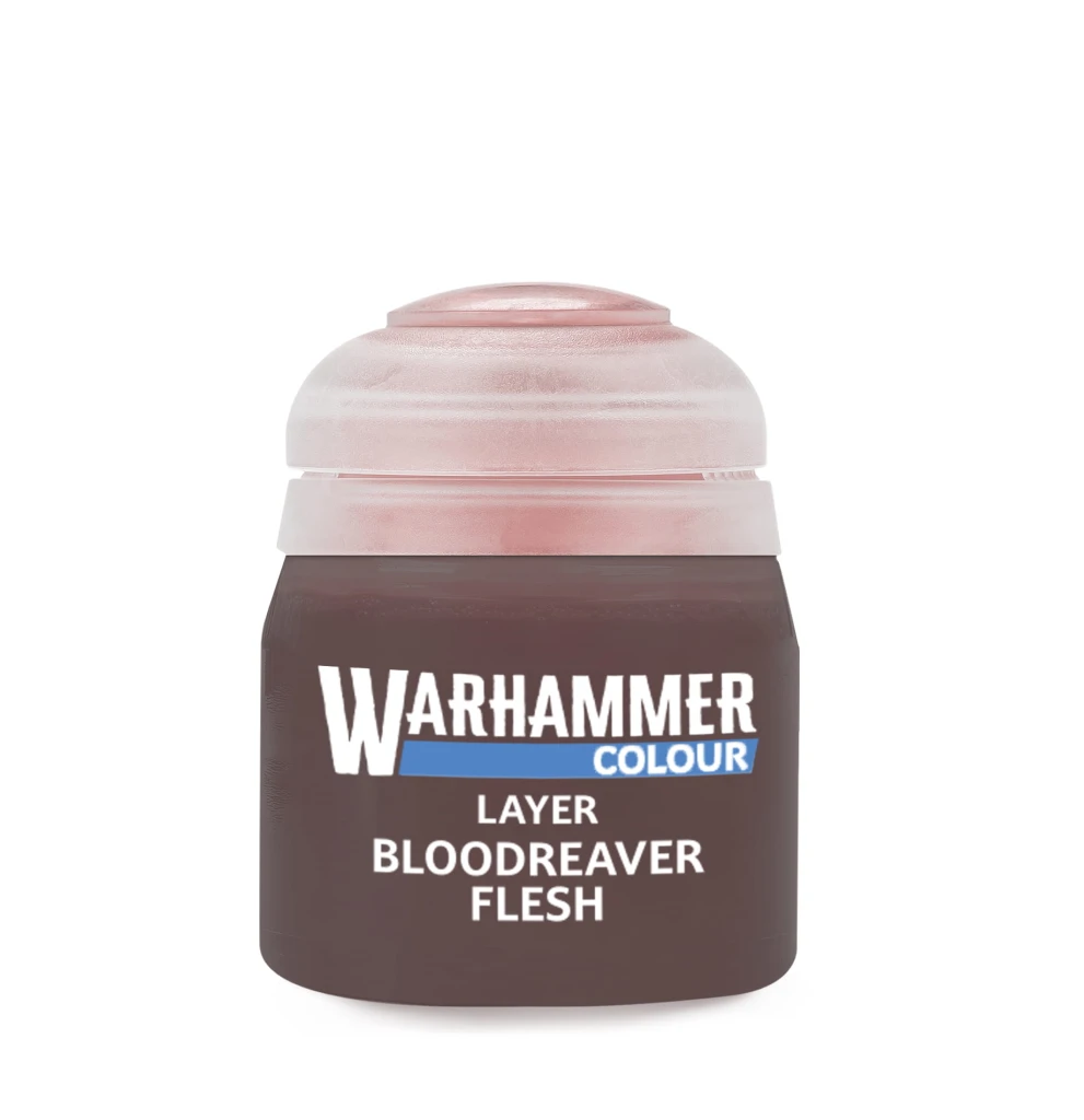 https___trade.games-workshop.com_assets_2026_03_BSA-22-92-99189951389-BLOODREAVER FLESH 12ML ROW.jpg