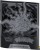 Pokémon TCG Mega Evolution - Pitch Black - Elite Trainer Box (13).jpg