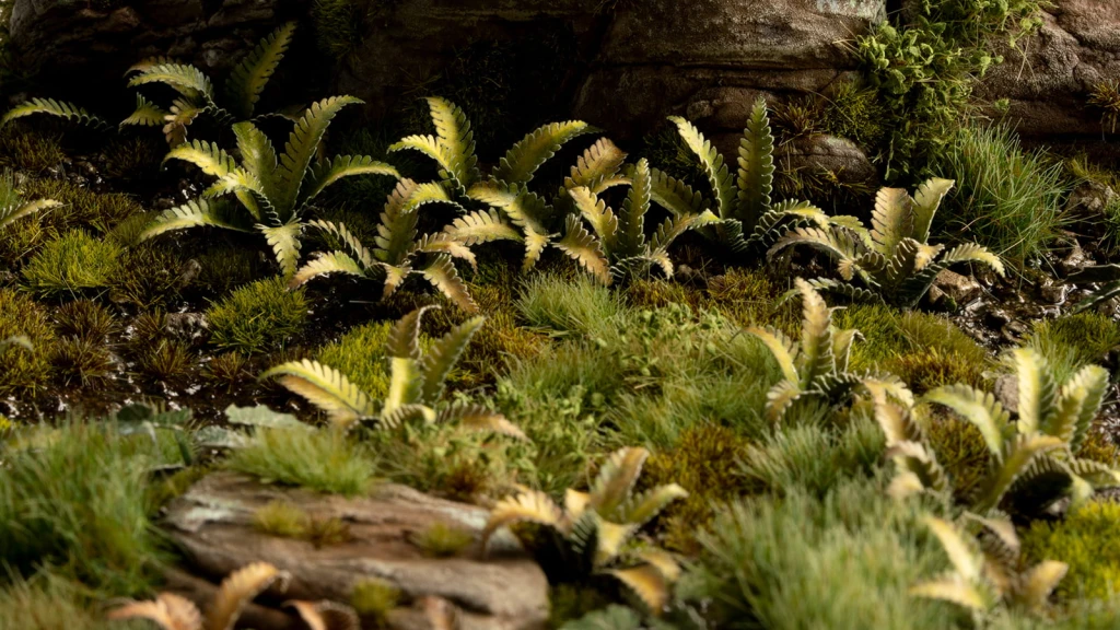 diorama_deer-fern_2_1600x900.jpg