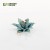 gamers-grass-laser-plants-blue-agave (2).jpg