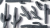 kaktusy34.png